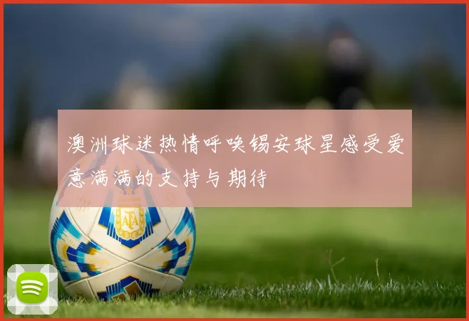 澳洲球迷热情呼唤锡安球星感受爱意满满的支持与期待